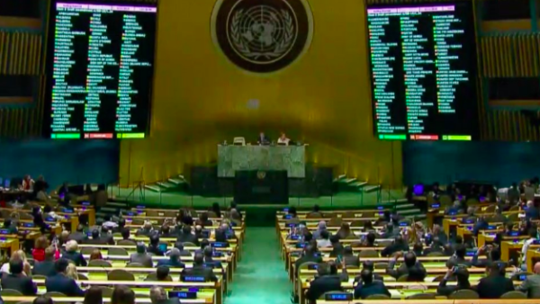 UN General Assembly File Photo (Twitter) 