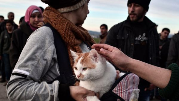 A Syrian woman holds her cat named Taboush, which she brought with her from Syria, at the makeshift camp at the Greek-Macedonian borders, near the village of Idomeni. (AFP/File)