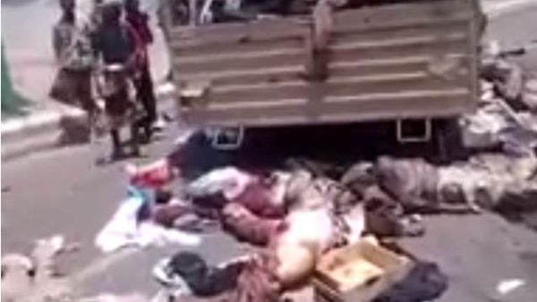 قيادات المليشيات في المحافظة اعترفت بما أسمته بالقتل الخطأ - من الفيديو 