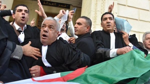 اتحاد المحامين الجزائريين يحتج على ترشح بوتفليقة لولاية خامسة