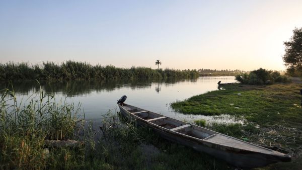 Iraq is shutting down fish farms to deal with water stress