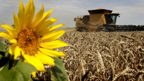 Russia tops grain exporters worldwide