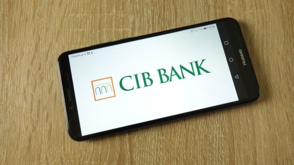Egypt's CIB to Issue $100 Million In Green Bonds