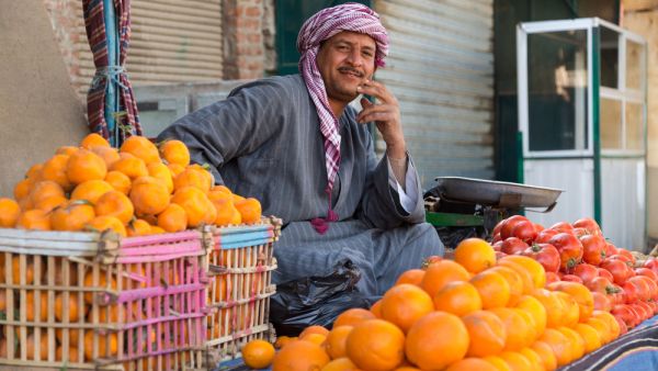 Egypt Overtakes Spain As the World’s Largest Orange Exporter