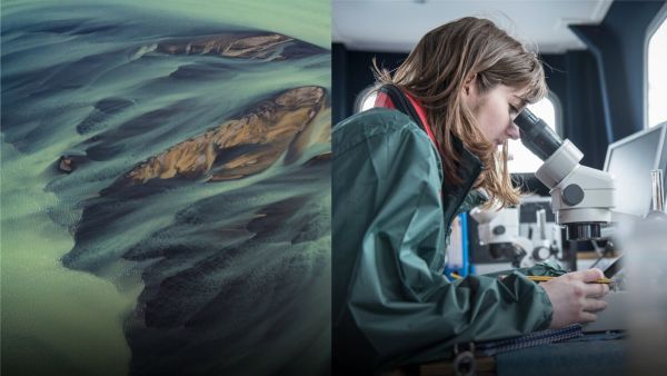 Ericsson Innovation Awards 2020: taking on climate change