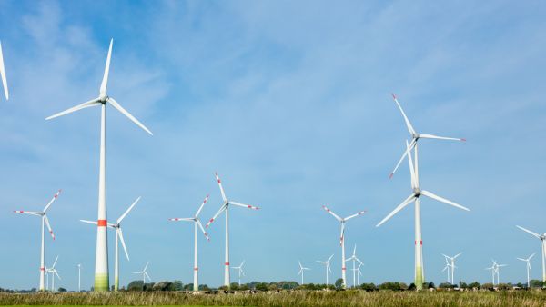 تسعى الحكومة البريطانية أن تولد مزارع طاقة الرياح ثلث حاجة البلاد من الكهرباء بحلول عام 2030، كجزء من استراتيجيتها للوصول إلى صفر انبعاثات بحلول عام 2050 للوفاء بتعهداتها في اتفاقية باريس للمناخ. طاقة الرياح تزود بريطانيا بأكثر من نصف حاجتها للكهرباء
