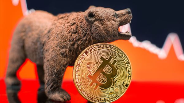 كيف تقلل من خسائر عملاتك الرقمية في السوق الهبوطية