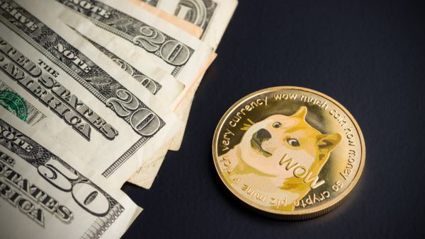 Crypto News Recap: Dogecoin, XRP Prices Soars As WallStreerBets’ Fever Hits The Crypto Sphere, Elon Pumps Bitcoin