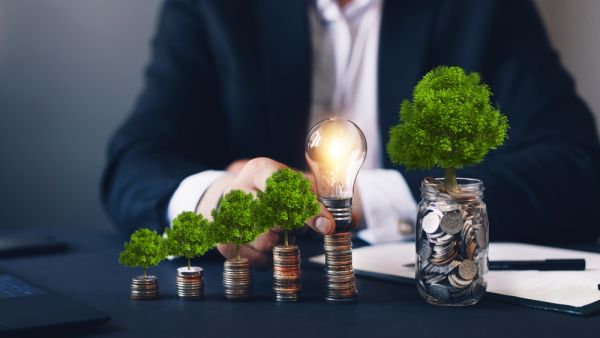 Companies in Tabuk close to NEOM are following suit and looking for ways to go green. (Shutterstock) Tabuk Firms Go Green Eyeing Business with NEOM