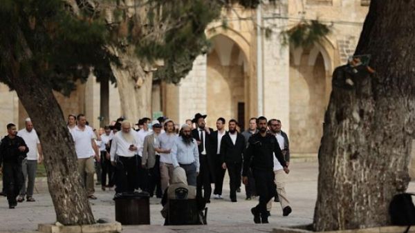 اقتحامات الاقصى تتواصل والحرم الابراهيمي مغلق امام المسلمين لليوم الثاني