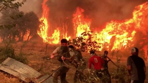 الجزائر: الحرائق تتجدد في تيزي وزو وتتواصل في 11 ولاية