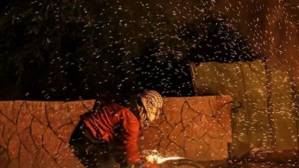 إصابة عشرات الفلسطينيين بمواجهات مع الجيش الاسرائيلي في برقة