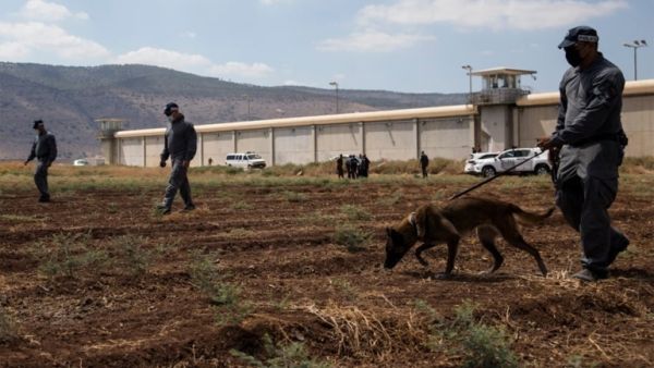 الحكومة الفلسطينية تنفي تقارير عن رفضها توفير الحماية لأسرى نفق الحرية
