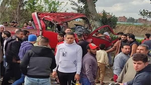 شجرة معمرة تقتل وتصيب 14 شخصا في مصر