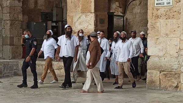 عشرات المستوطنين يقتمون المسجد الأقصى بحراسة القوات الاسرائيلية