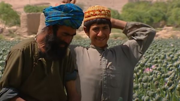 ازدهار زراعة الأفيون في أفغانستان تحت حكم طالبان