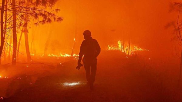 1000 قتيل في إسبانيا والبرتغال جراء موحة حر حولت أوروبا الى فرن مستعر