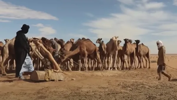 13 قتيلا بهجوم لجهاديين في مالي