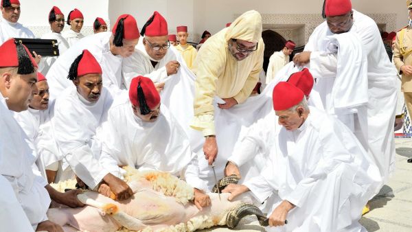 الملك محمد السادس يذبح اضحية العيد