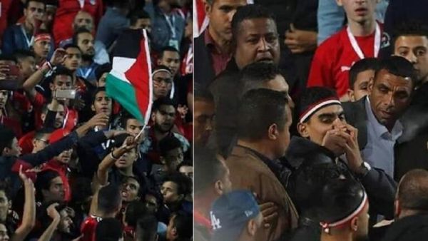 ارشيف
