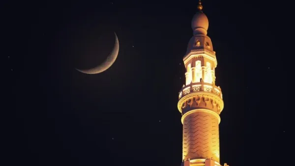 ارشيف