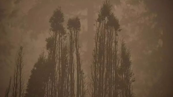 الحرائق تواصل التهام الساحل الغربي الأميركي