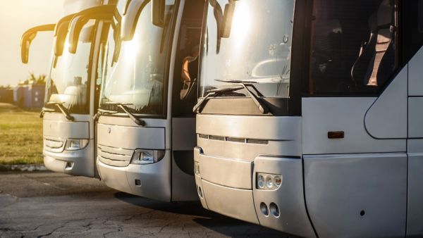 All buses will have one color, a logo, the name of the entity, speed limit sticker and contact information of the entity to report complaints
