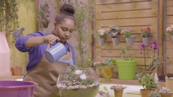 Using a practical approach, Green Thumb favors ‘‘Do-It-Yourself” techniques and skills to encourage children to apply the episode’s content in real life.