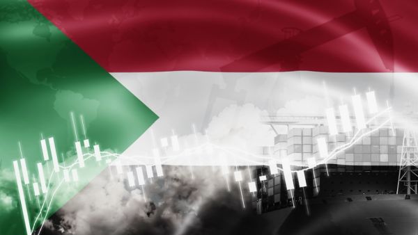 Sudan's government will work to tackle the crisis through short-term and long-term programmes.