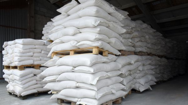 ECBM clarified in a report that cement exports in February recorded $8 million.