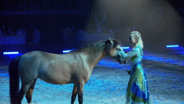 ‘The Magic Dream’ — inspiring the love of nature in the age of digital technology (Twitter)