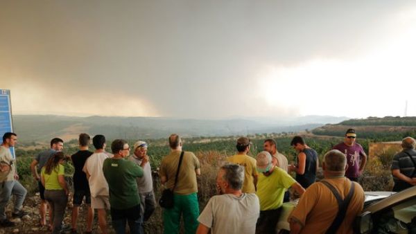 Temperatures hit 45.9 degrees Celsius on Friday in southern France (Twitter)