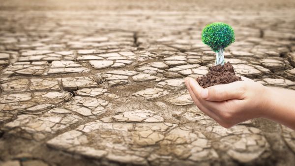 World Day to Combat Desertification and Drought (Shutterstock)	