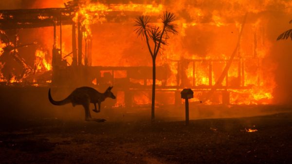 قتل 18 شخصاً على الأقل منذ بدء موسم الحرائق في سبتمبر.