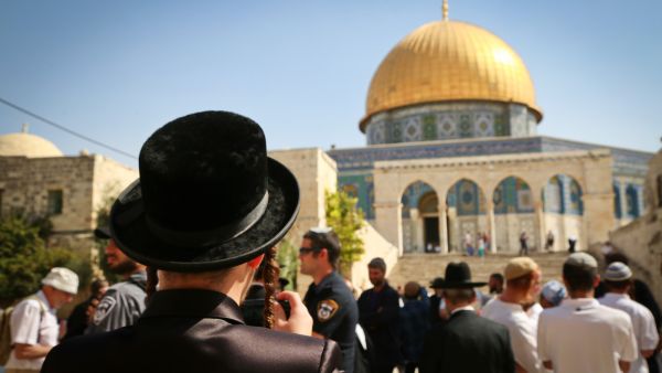  سيضاف عدد من المندوبين السعوديين في صفة مراقب 