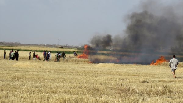 ولفت فيرهوسيل إلى أن المزارعين لا يستطيعون الاهتمام بأراضيهم ومحاصيلهم طوال موسم الحصاد.