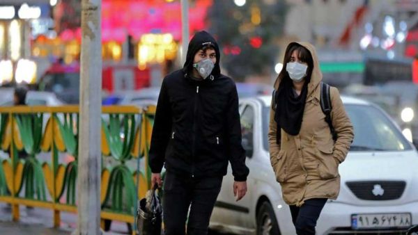 بحسب الدراسات، تساهم مناعة الخفاش الكبيرة، بتحفيز الفيروسات على التطور