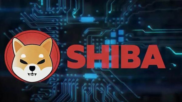 مشروع عملة shiba