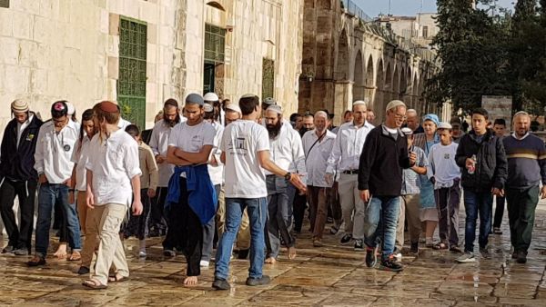 أزيد من 500 مستوطن يقتحمون المسجد الأقصى