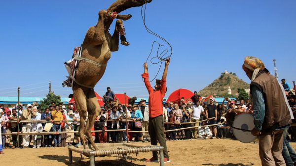 معرض الجمال في الهند