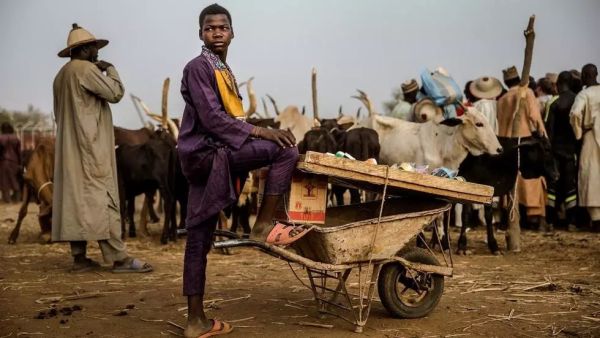 عشرات القتلى في هجمات جديدة في نيجيريا