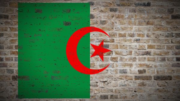 بلغت قيمة صادرات الجزائر من الإسمنت خلال الأشهر السبعة الأولى من العام الجاري، نحو 42 مليون دولار فقط