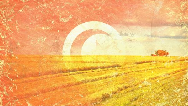 ارتفاع خطر الحرائق دعت المنظمات والنقابات المهنية للمزارعين المهنيين إلى حماية المحاصيل من الحرائق وتوفير كل الظروف الملائمة لنقلها إلى مراكز التخزين