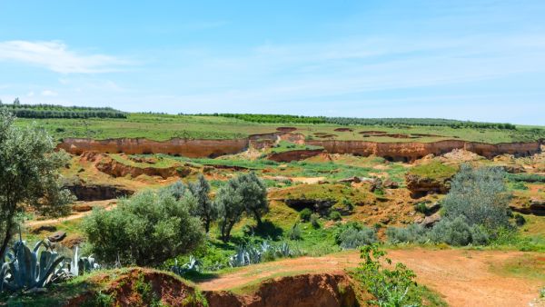 تأتي تطلعات المغرب، بينما كان البنك الدولي قد توقّع، في تقرير في إبريل/نيسان الماضي، أن ترتفع أسعار الأسمدة بنسبة 2.2 في المائة في العام المقبل