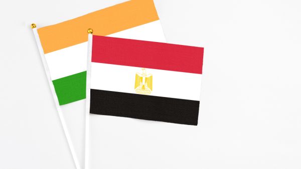 ارتفعت صادرات البصل المصري خلال 2019 بنسبة بلغت 50%