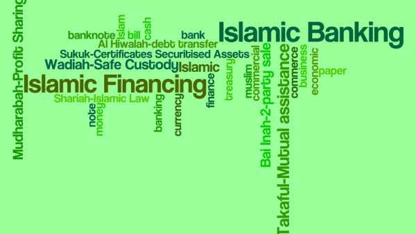 تركيا تمتلك بورصة عريقة، إلا أنها تعتمد كغيرها من البورصات على الأسهم والسندات وغيرها من الأدوات المالية المتعارف عليها في ظل اقتصاد رأسمالي