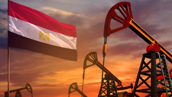 دعم المواد البترولية يهوى بنحو 77% في 2019-2020 