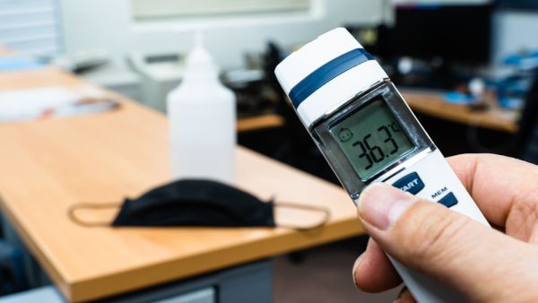 هبطت أسعار أسهم عمالقة التكنولوجيا وتقنية المعلومات والإنترنت منذ منتصف الشهر الماضي