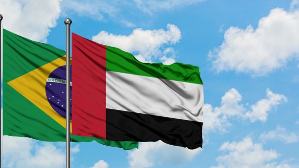 الصادرات البرازيلية إلى الدول العربية بلغت 37,142.82 ألف طن، بقيمة 10.34 مليارات دولار خلال الفترة من يناير إلى أكتوبر 20