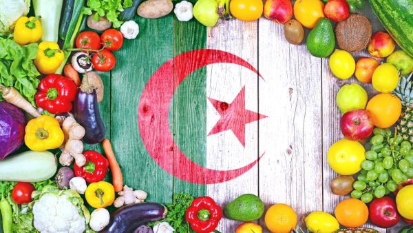 نسبة الإنتاج الكبير التي تم تحقيقها من قبل المزارعين هذا الموسم ستنعكس عليهم سلباً